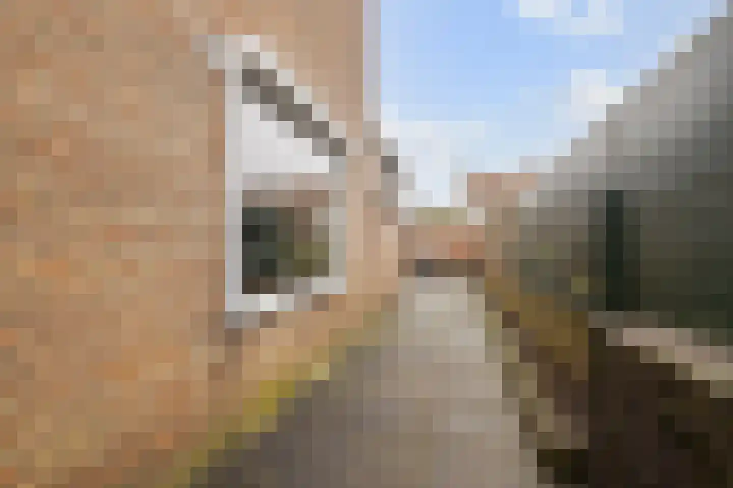 Steenstraat 10 Didam thumbnail 18