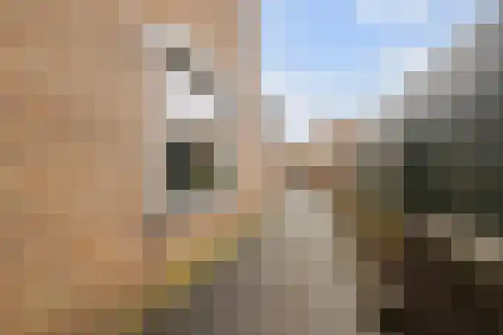 Steenstraat 10 Didam thumbnail 18