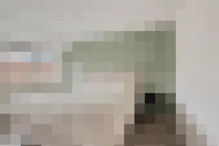 Steenstraat 10 Didam thumbnail 20