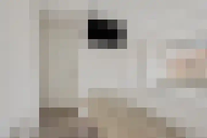 Steenstraat 10 Didam thumbnail 21