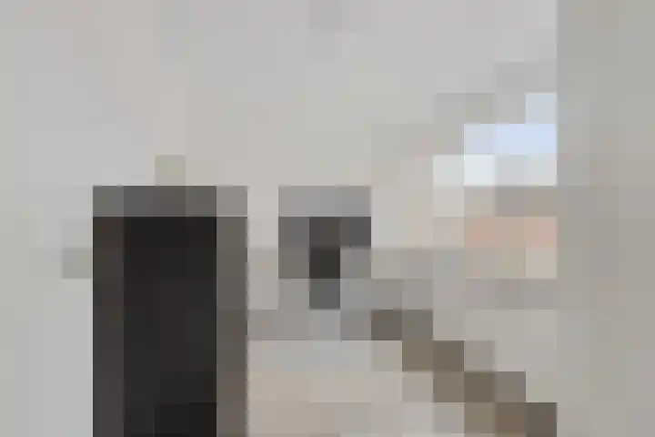 Steenstraat 10 Didam thumbnail 24