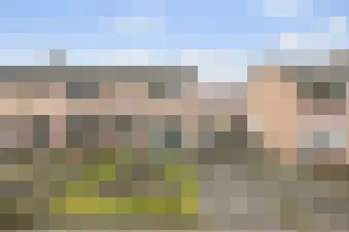 Steenstraat 10 Didam thumbnail 27