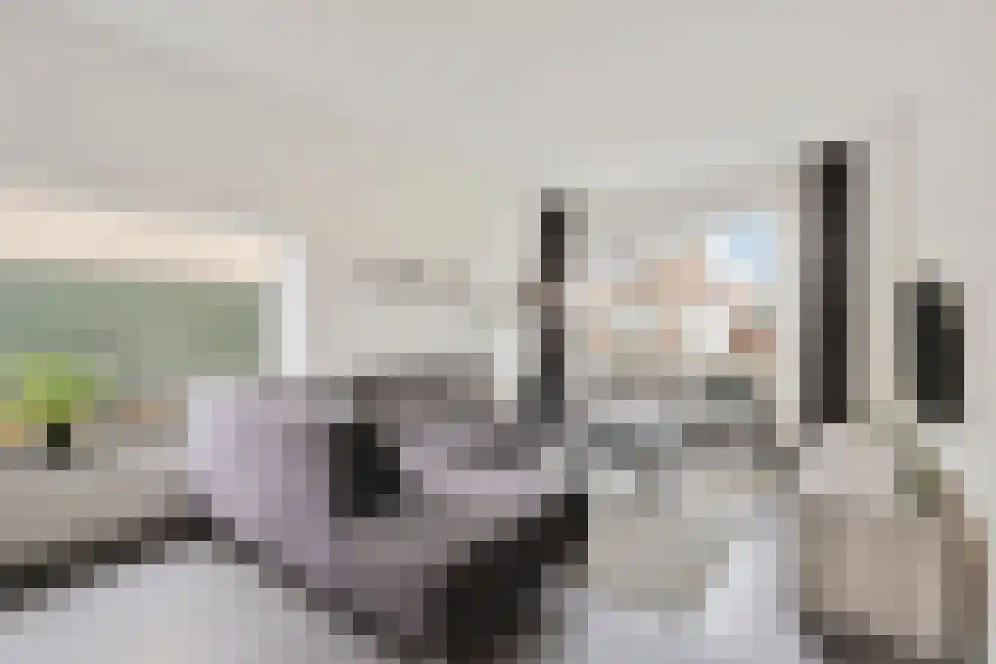 Steenstraat 10 Didam thumbnail 4