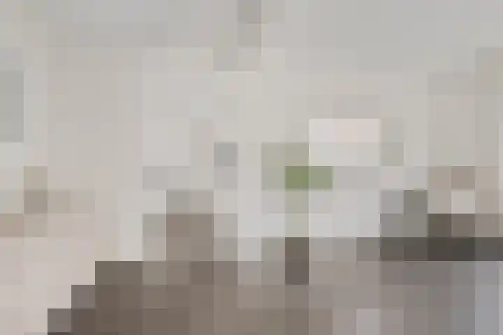 Steenstraat 10 Didam thumbnail 5