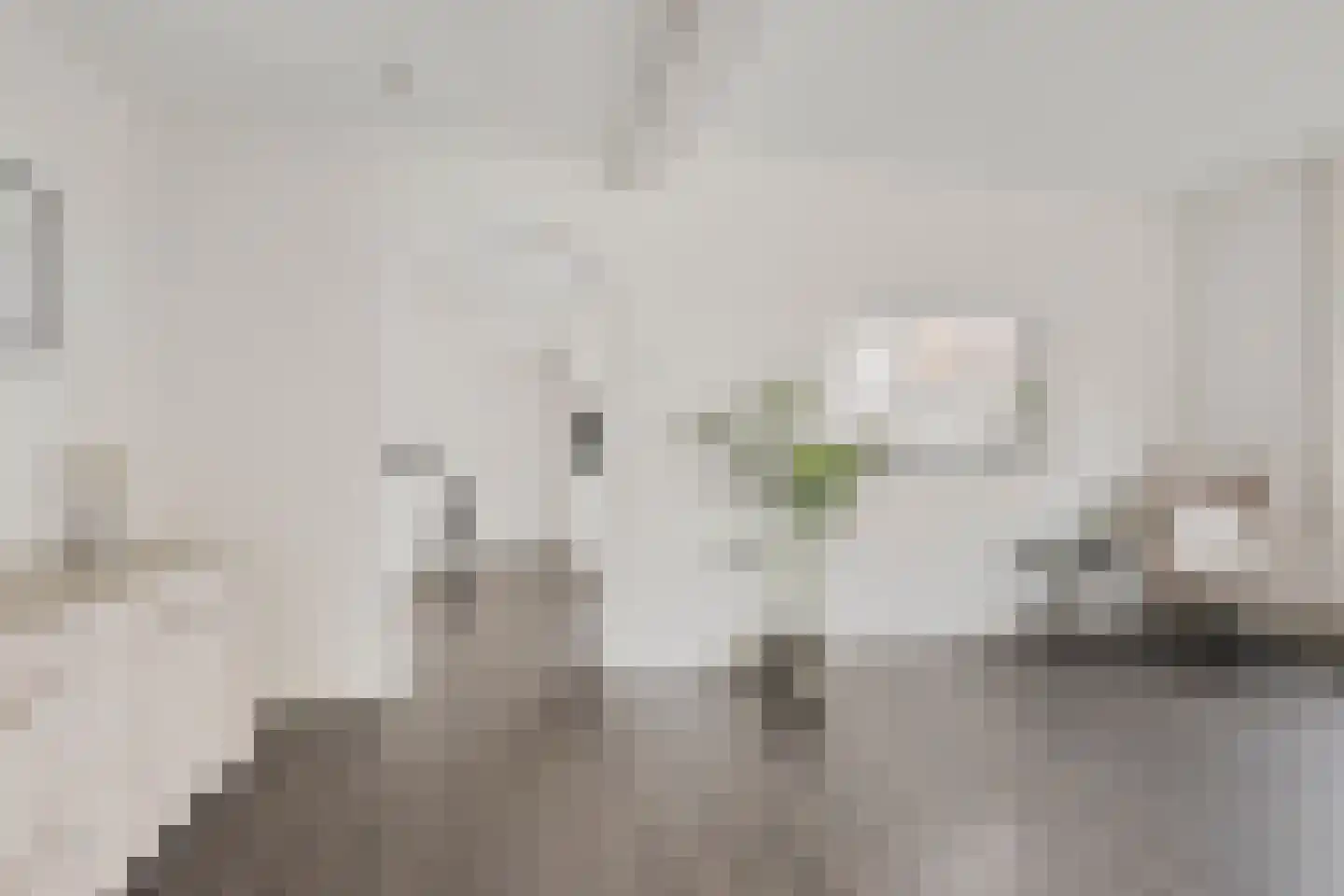 Steenstraat 10 Didam thumbnail 5
