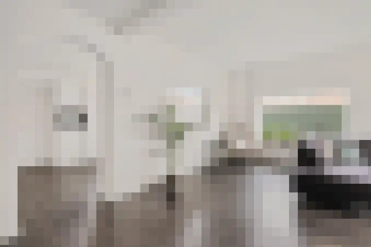 Steenstraat 10 Didam thumbnail 6