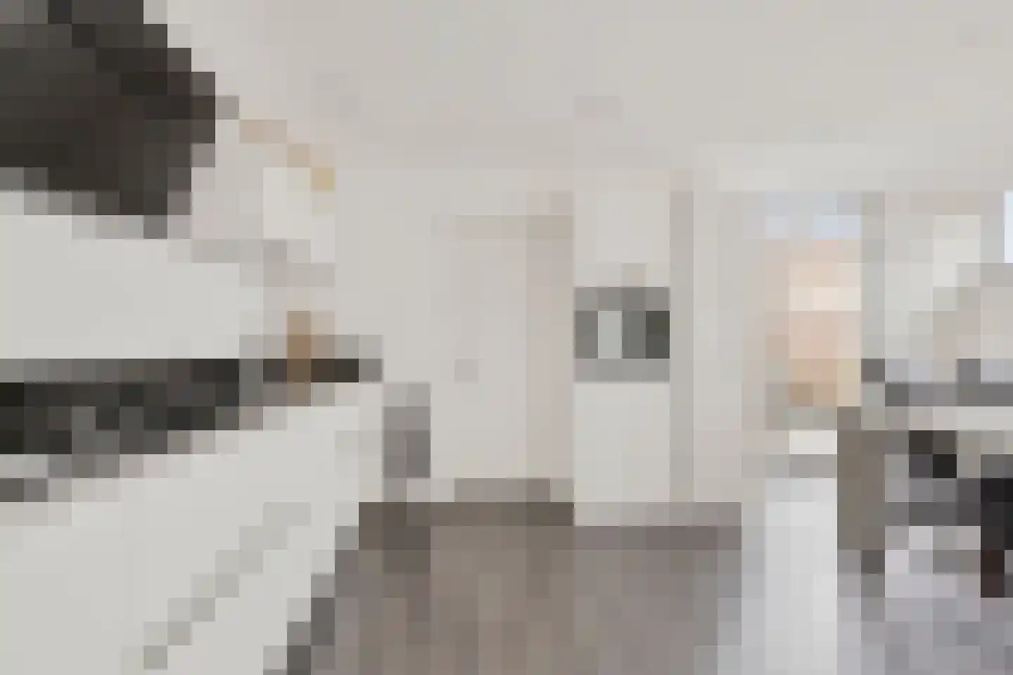 Steenstraat 10 Didam thumbnail 8