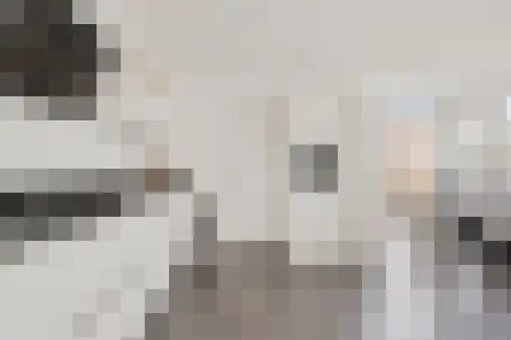 Steenstraat 10 Didam thumbnail 8