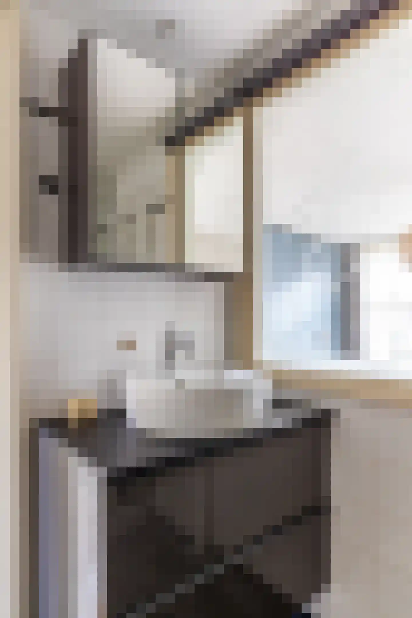 Steenstraat 10 Utrecht thumbnail 24