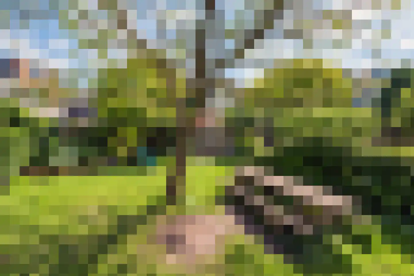 Steenstraat 10 Utrecht thumbnail 38