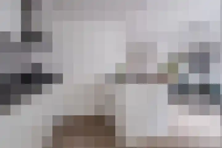 Steenstraat 100 Eersel thumbnail 10