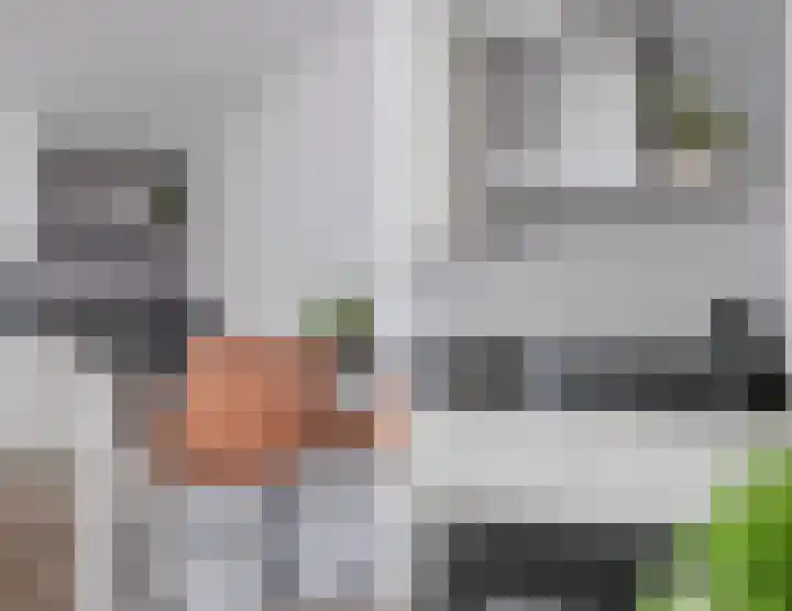 Steenstraat 100 Eersel thumbnail 11