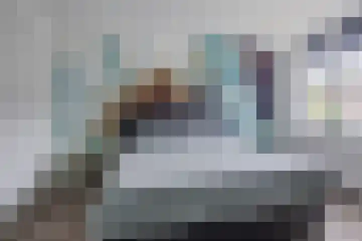 Steenstraat 100 Eersel thumbnail 16