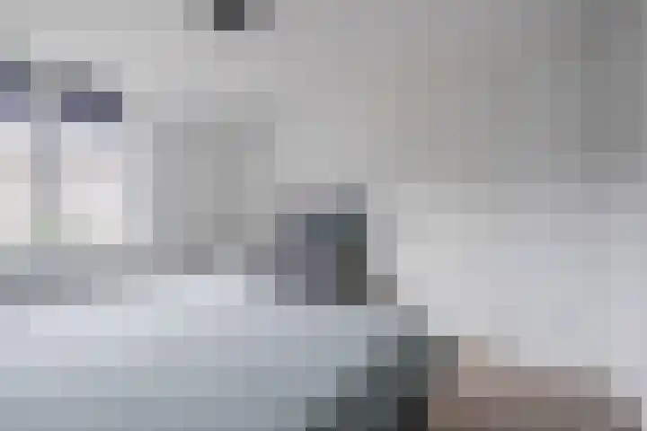 Steenstraat 100 Eersel thumbnail 17