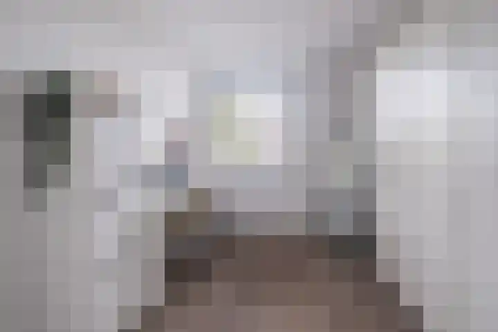 Steenstraat 100 Eersel thumbnail 18