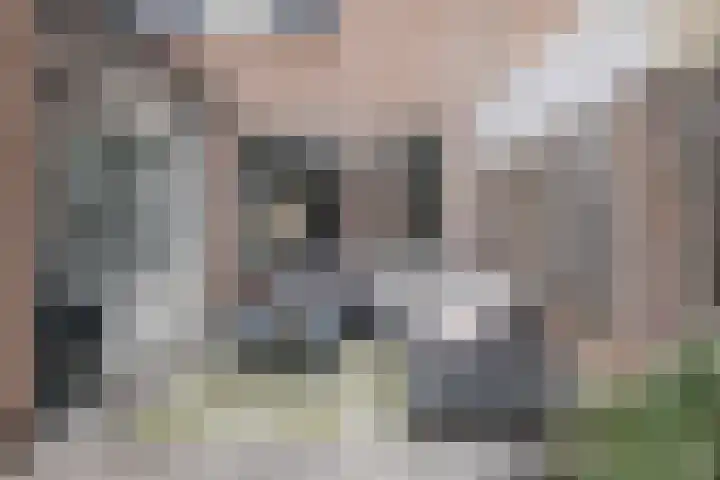 Steenstraat 100 Eersel thumbnail 26