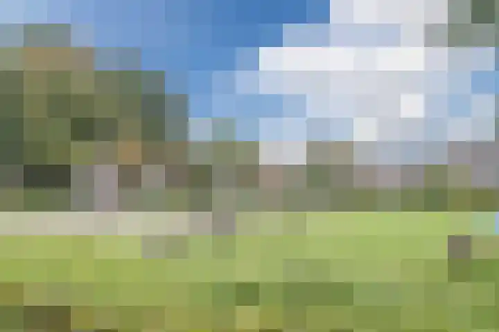 Steenstraat 100 Eersel thumbnail 29