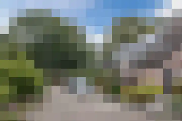 Steenstraat 100 Eersel thumbnail 4