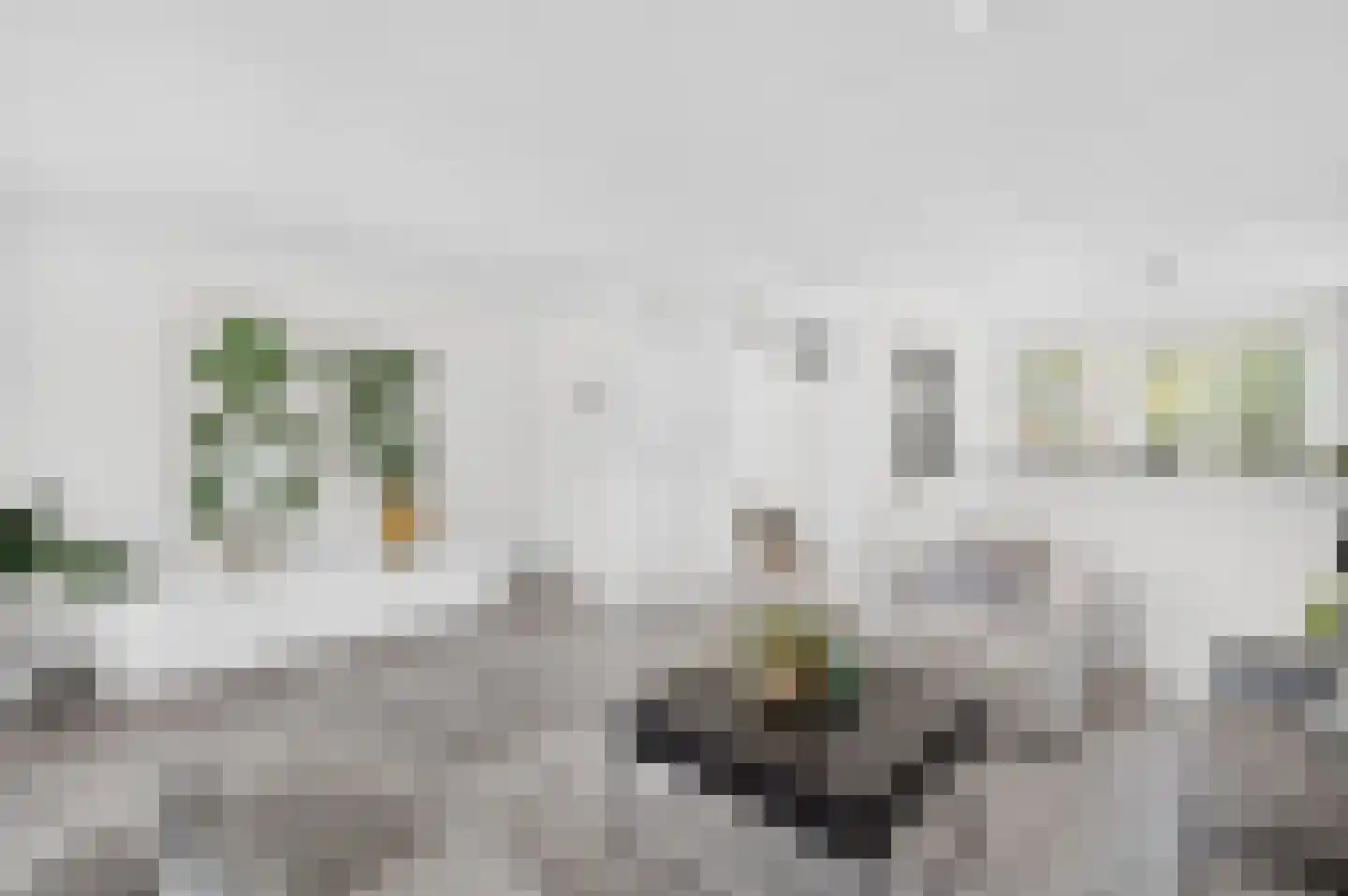 Steenstraat 11 Eindhoven thumbnail 10
