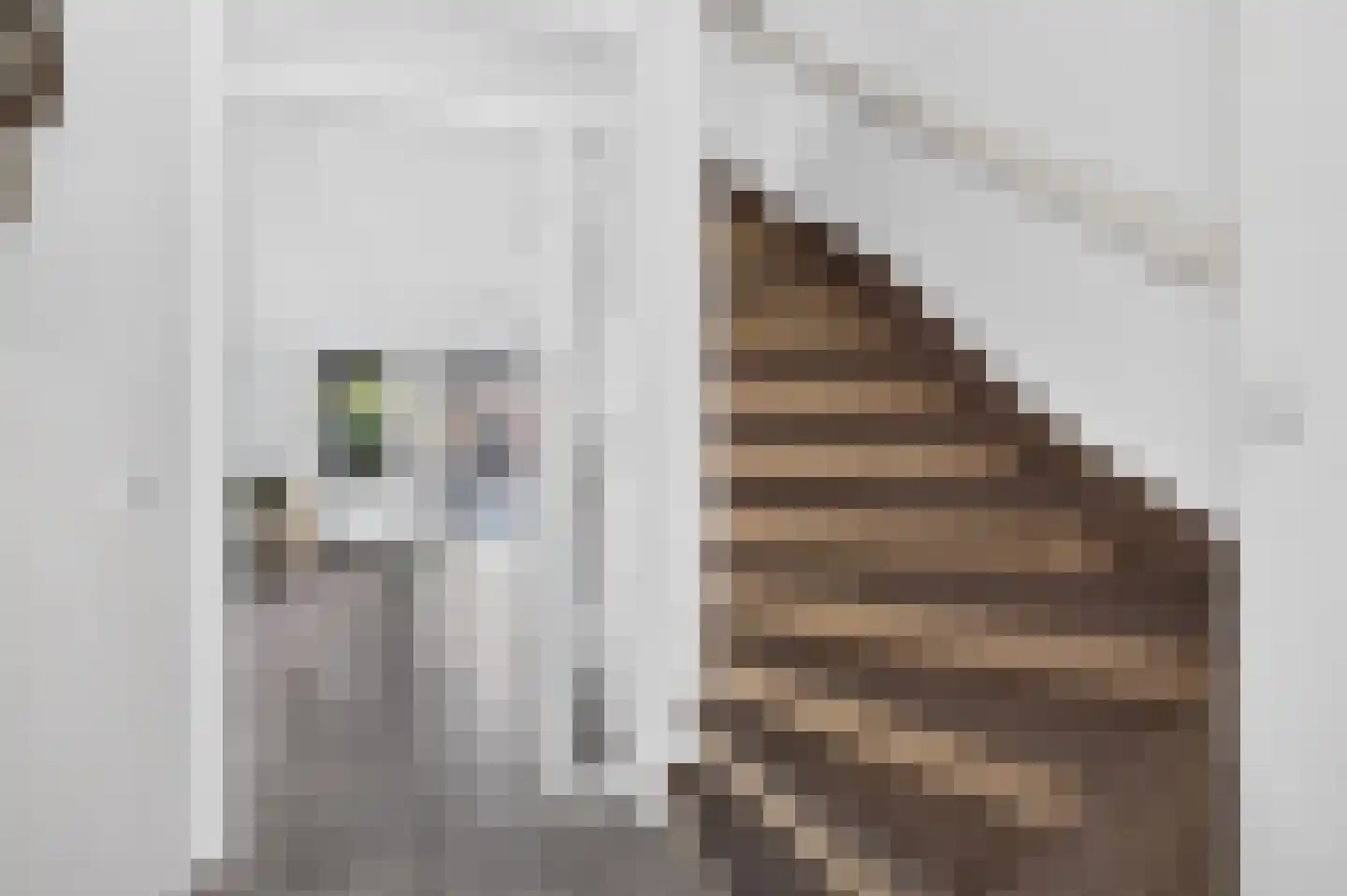 Steenstraat 11 Eindhoven thumbnail 20