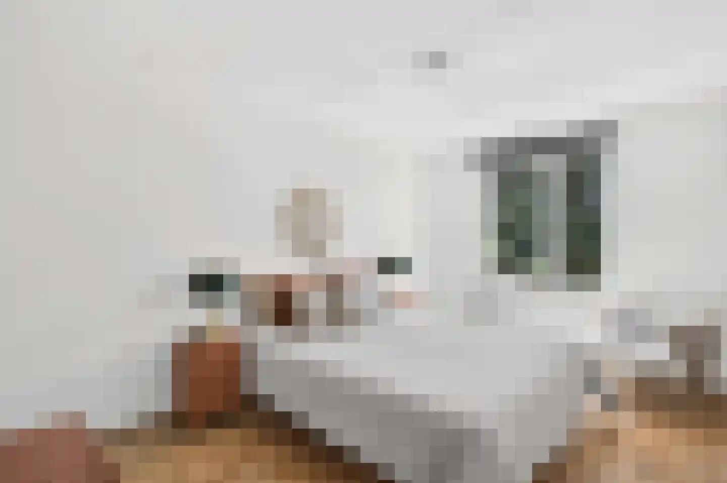 Steenstraat 11 Eindhoven thumbnail 22
