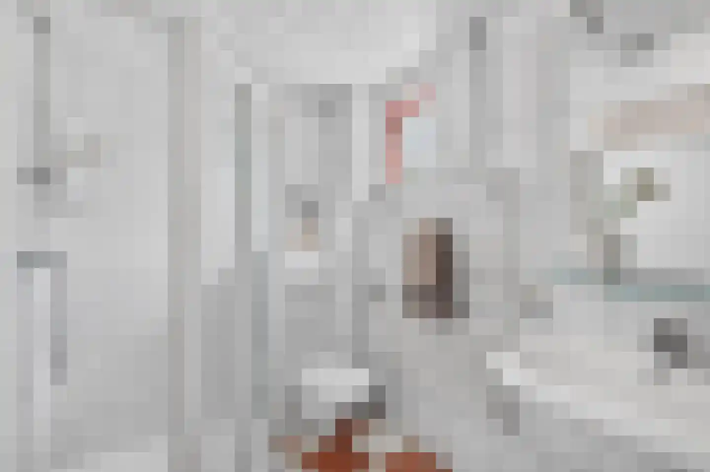 Steenstraat 11 Eindhoven thumbnail 25