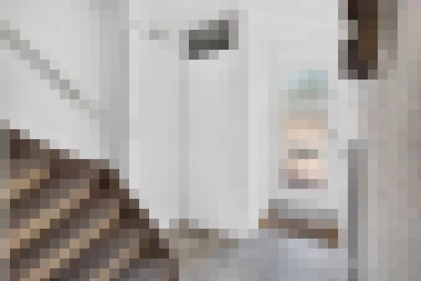Steenstraat 11 Eindhoven thumbnail 6