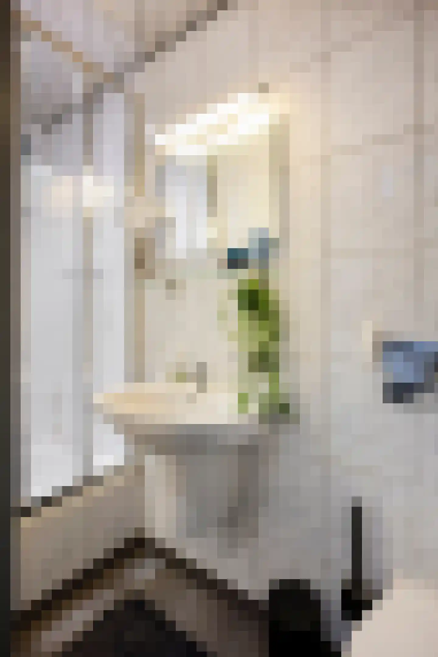 Steenstraat 11 Limbricht thumbnail 7