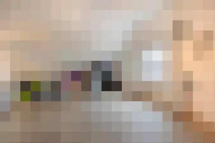 Steenstraat 118 Eersel thumbnail 33