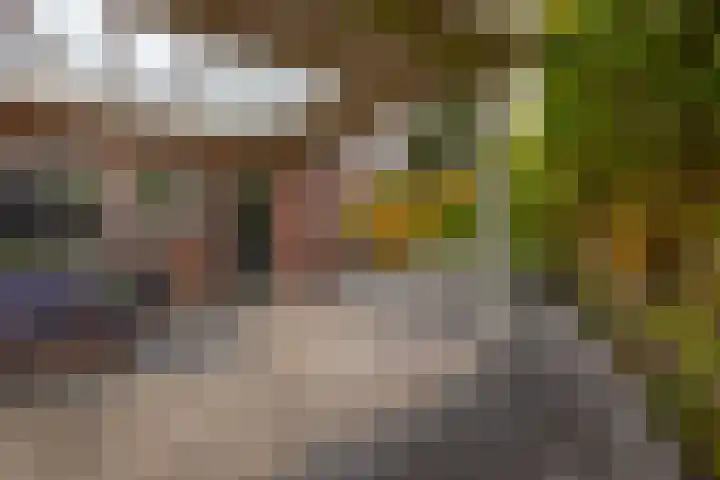Steenstraat 118 Eersel thumbnail 4