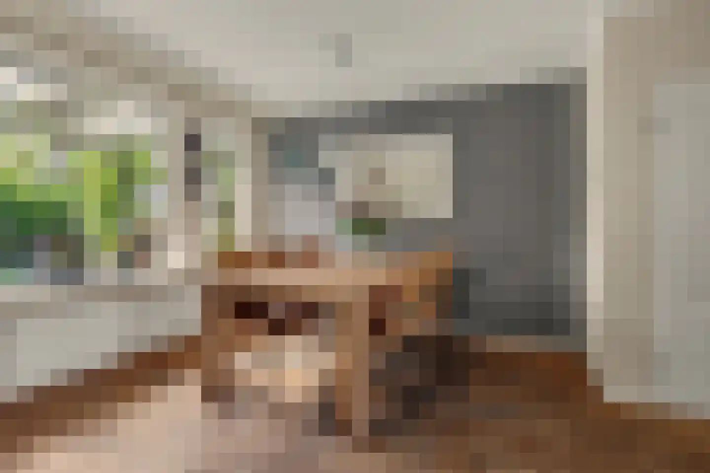 Steenstraat 121 Eersel thumbnail 10