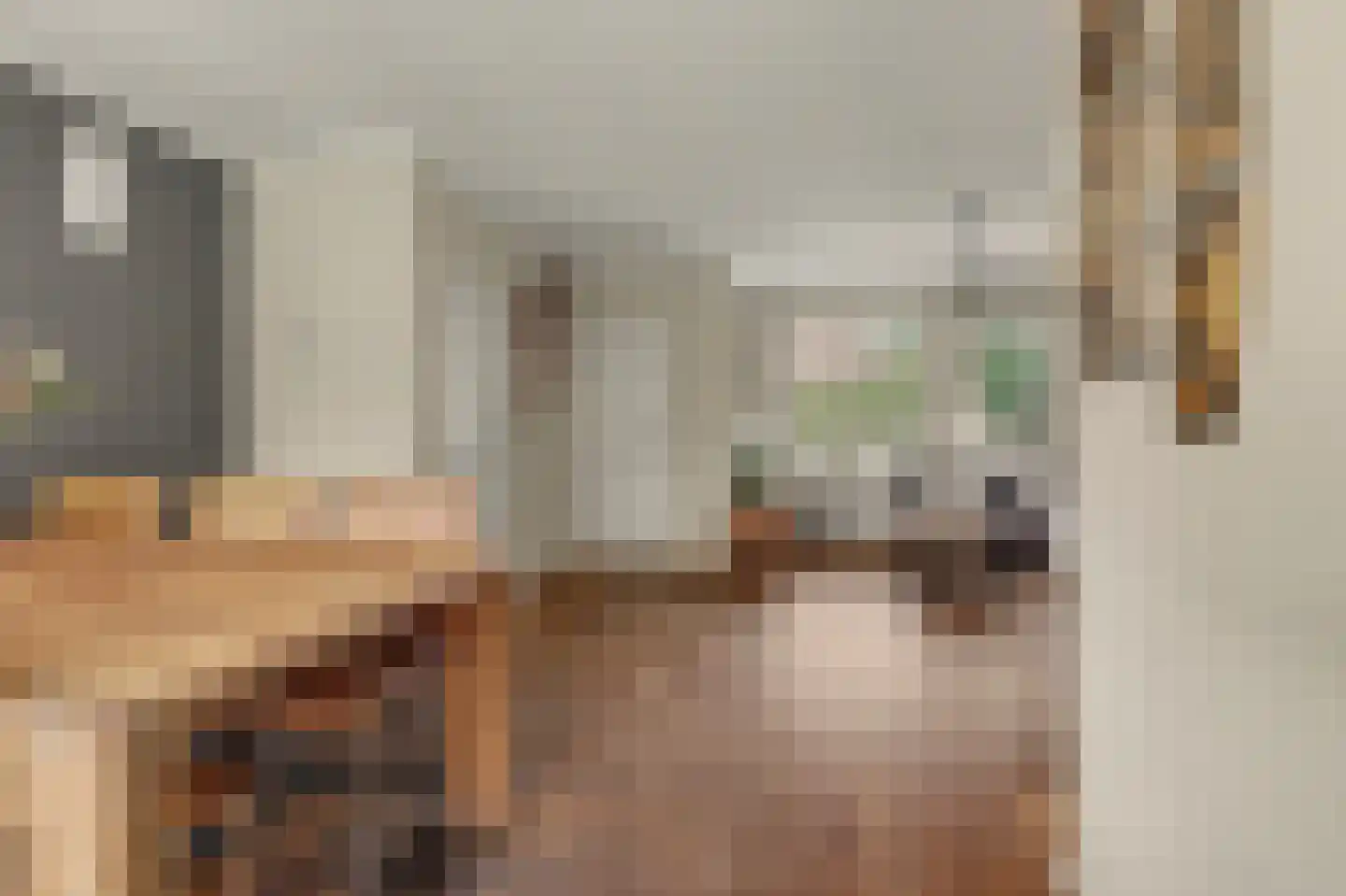 Steenstraat 121 Eersel thumbnail 12