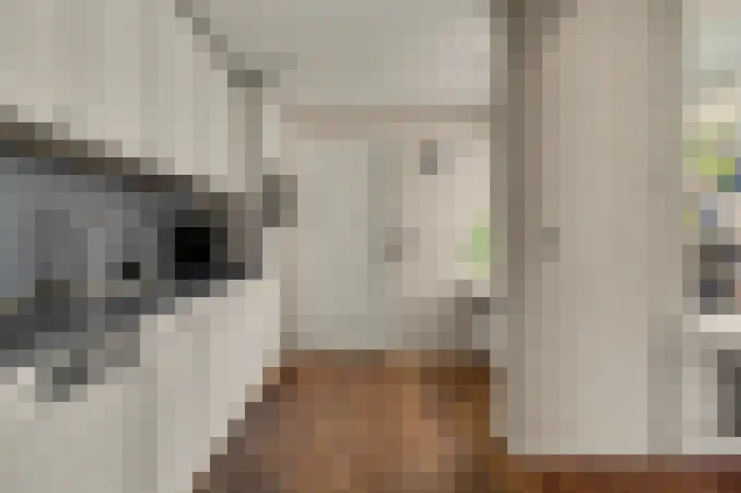 Steenstraat 121 Eersel thumbnail 13