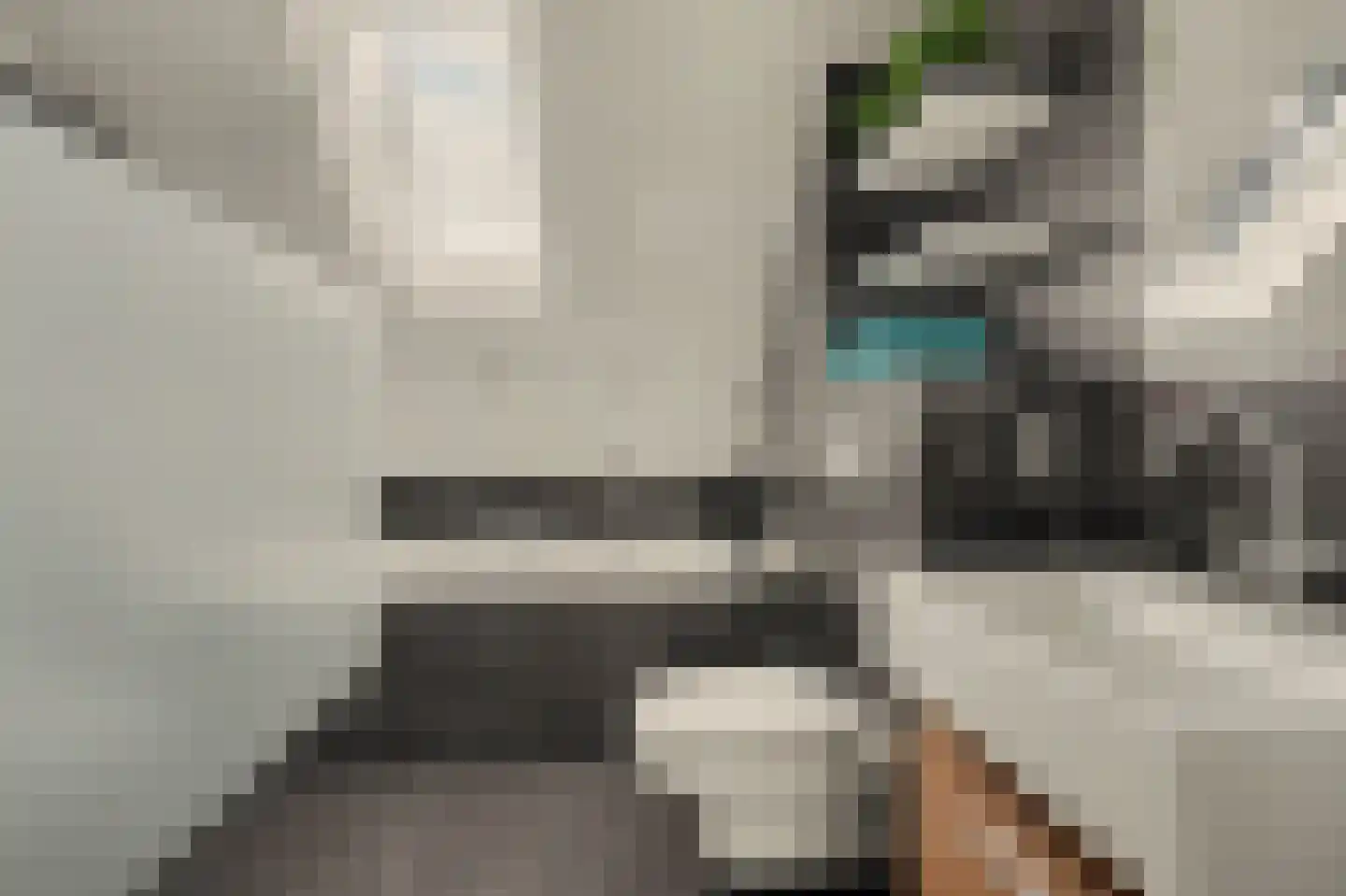 Steenstraat 121 Eersel thumbnail 23