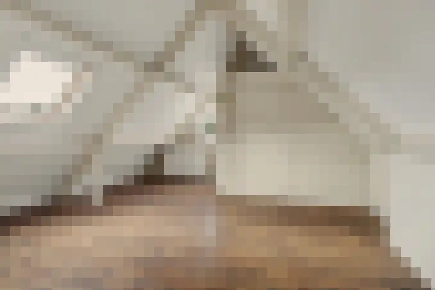 Steenstraat 121 Eersel thumbnail 27