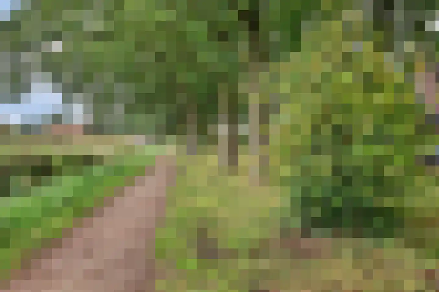 Steenstraat 121 Eersel thumbnail 47