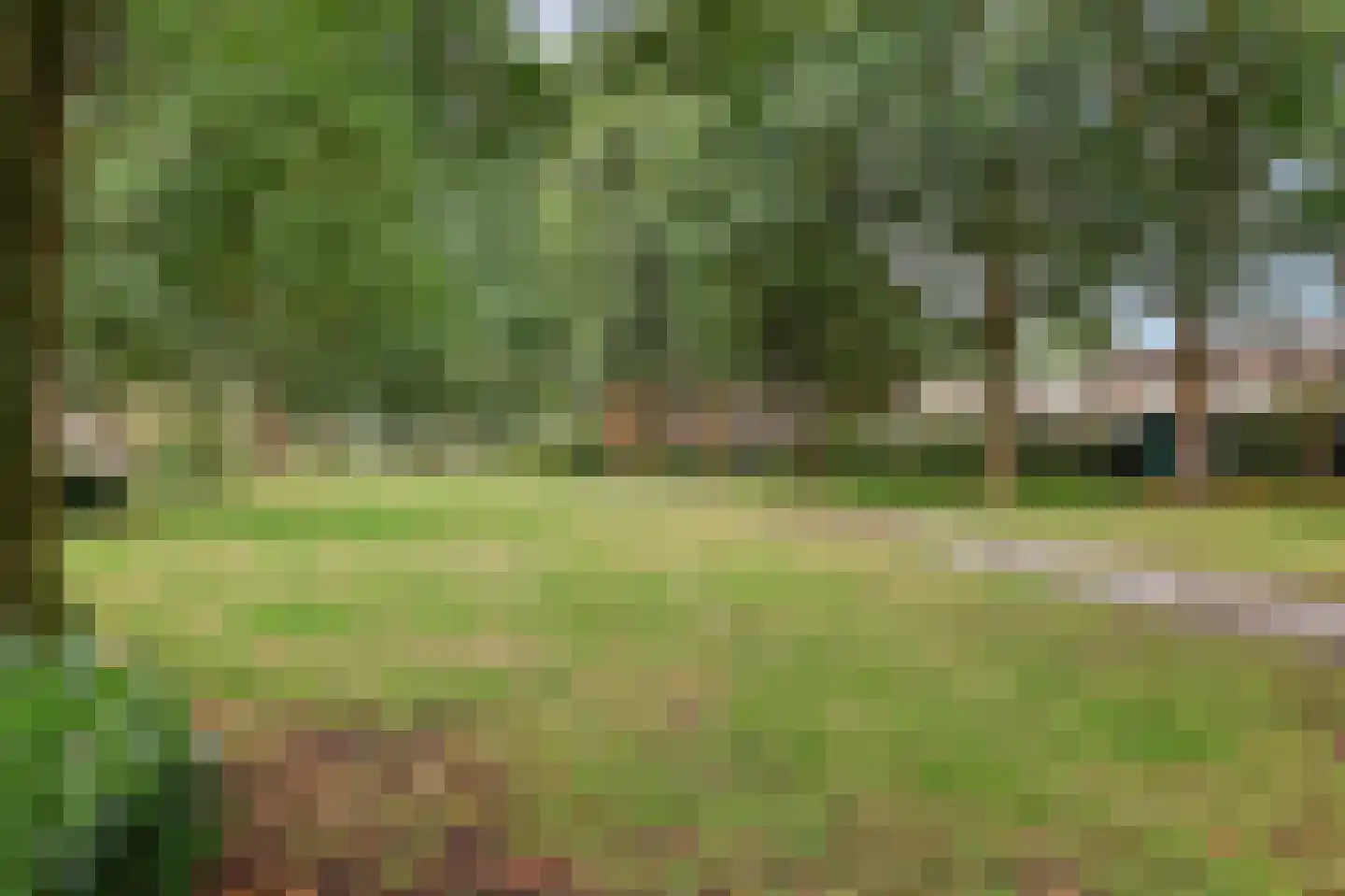 Steenstraat 121 Eersel thumbnail 51