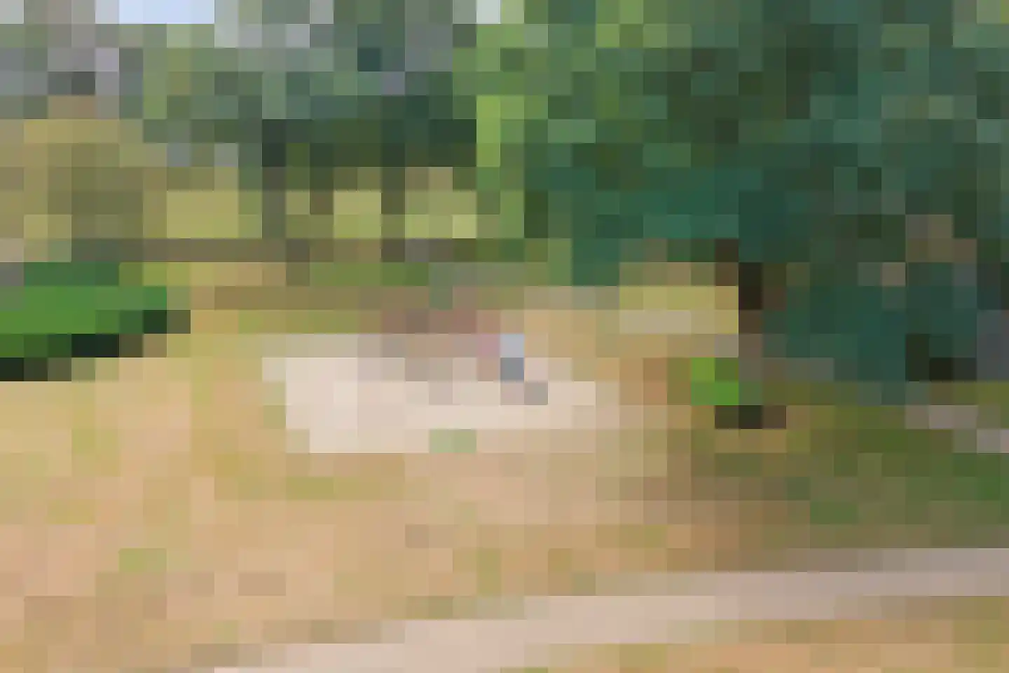 Steenstraat 121 Eersel thumbnail 52