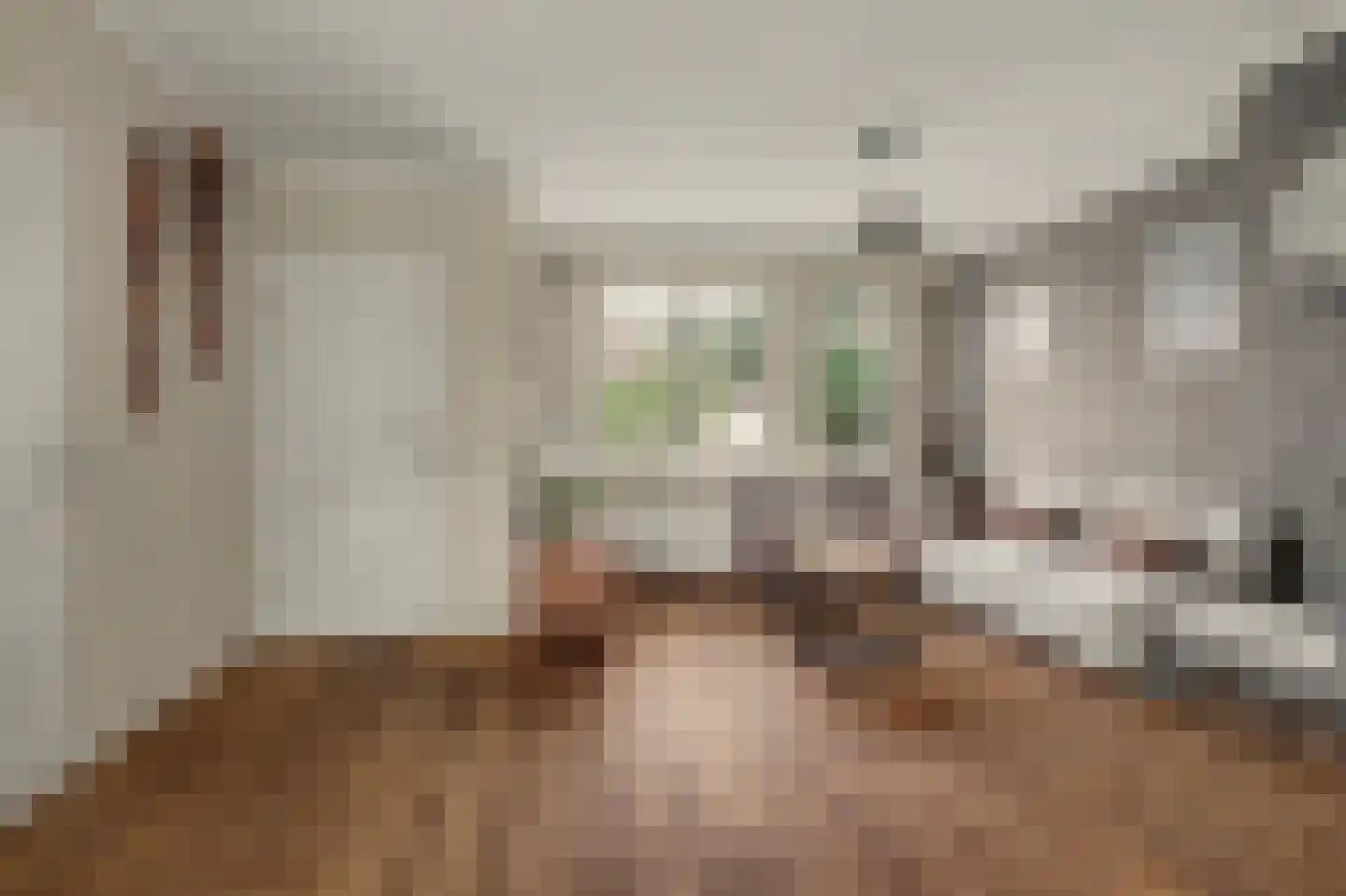 Steenstraat 121 Eersel thumbnail 7