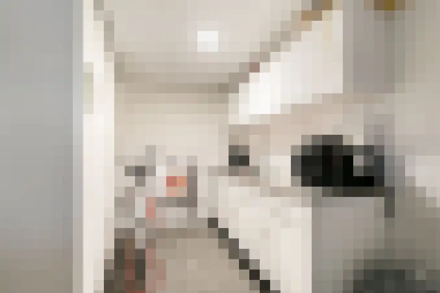 Steenstraat 13 Hulst thumbnail 16