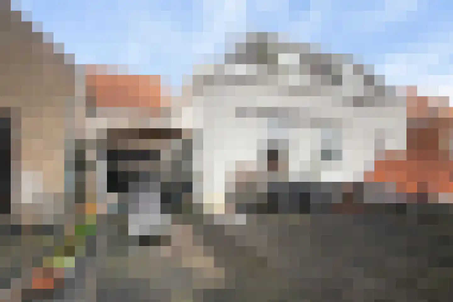 Steenstraat 13 Hulst thumbnail 39