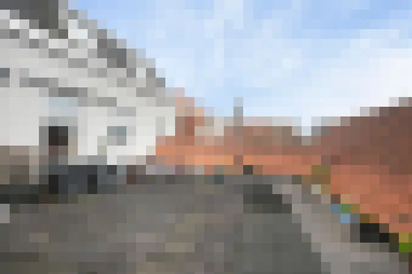 Steenstraat 13 Hulst thumbnail 40