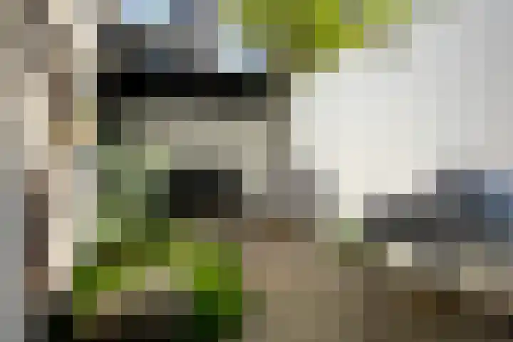 Steenstraat 13 Utrecht thumbnail 11