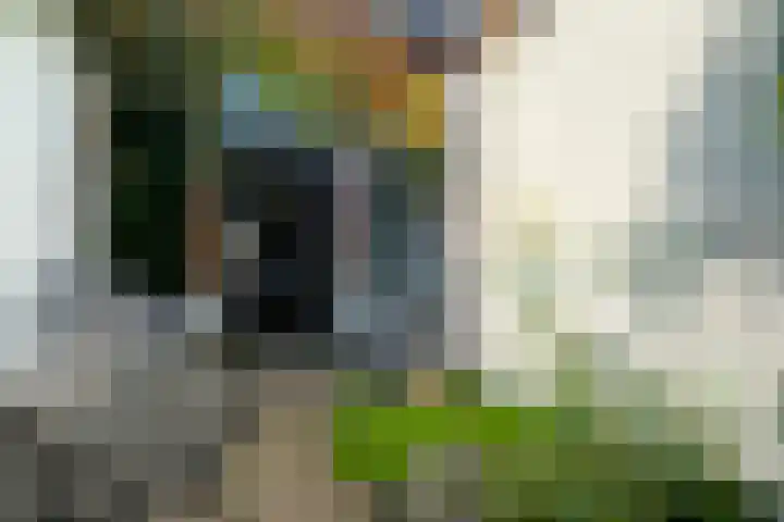 Steenstraat 13 Utrecht thumbnail 14