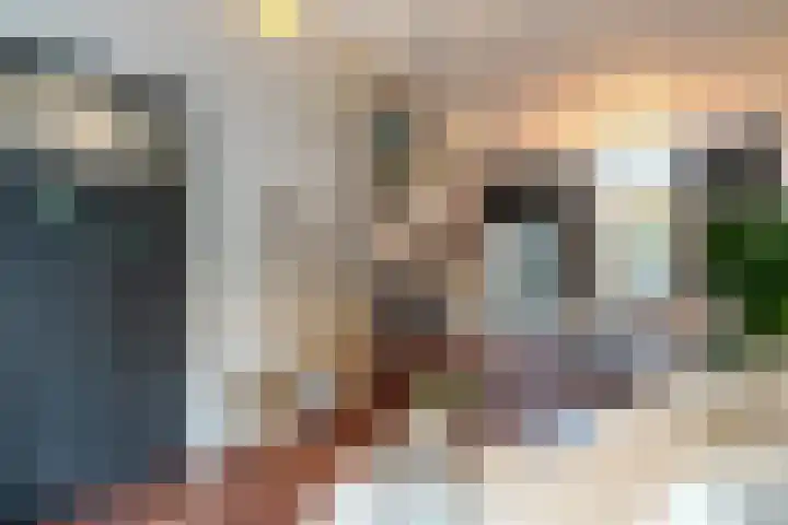 Steenstraat 13 Utrecht thumbnail 7