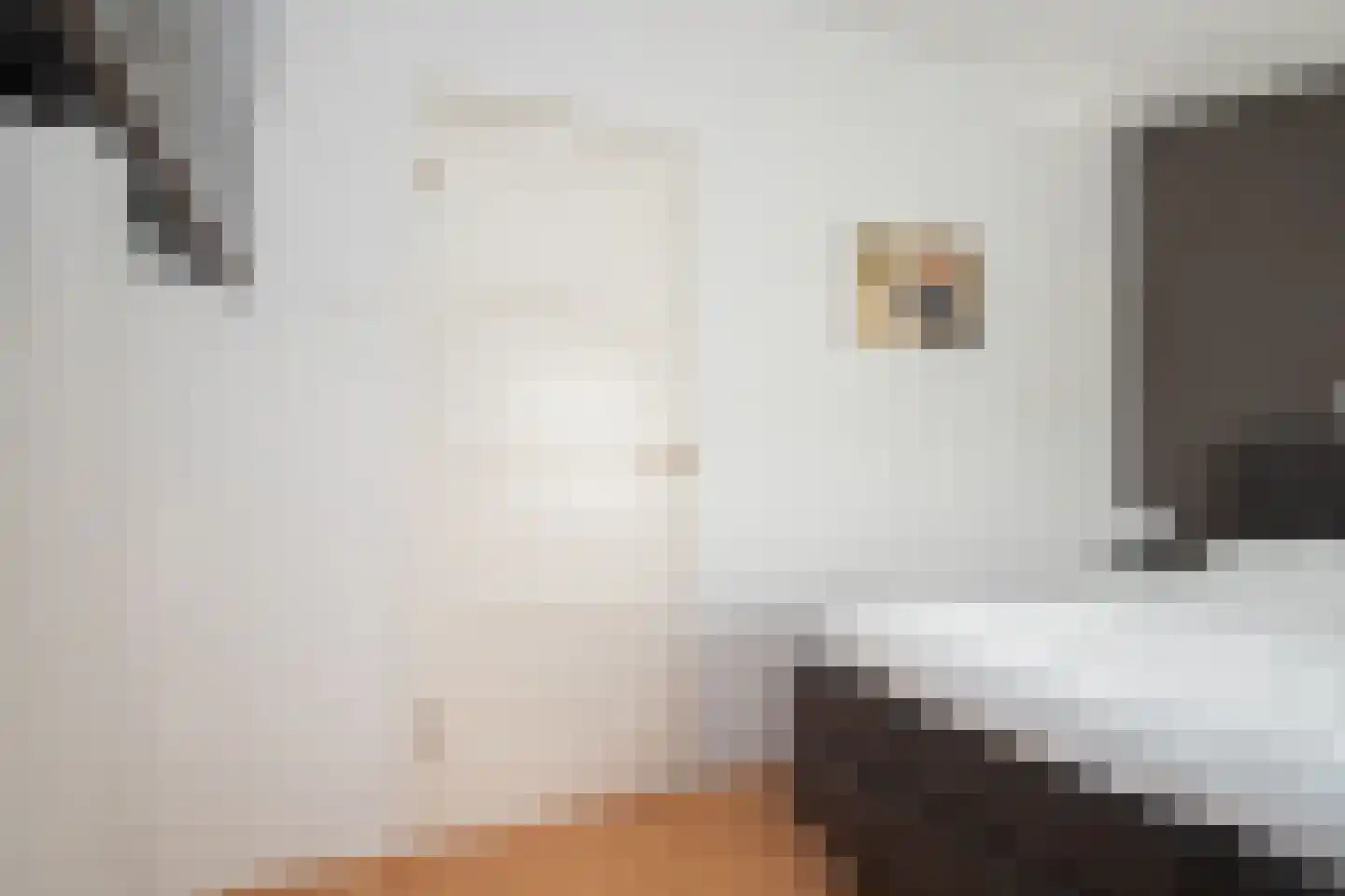 Steenstraat 14 Emmeloord thumbnail 30
