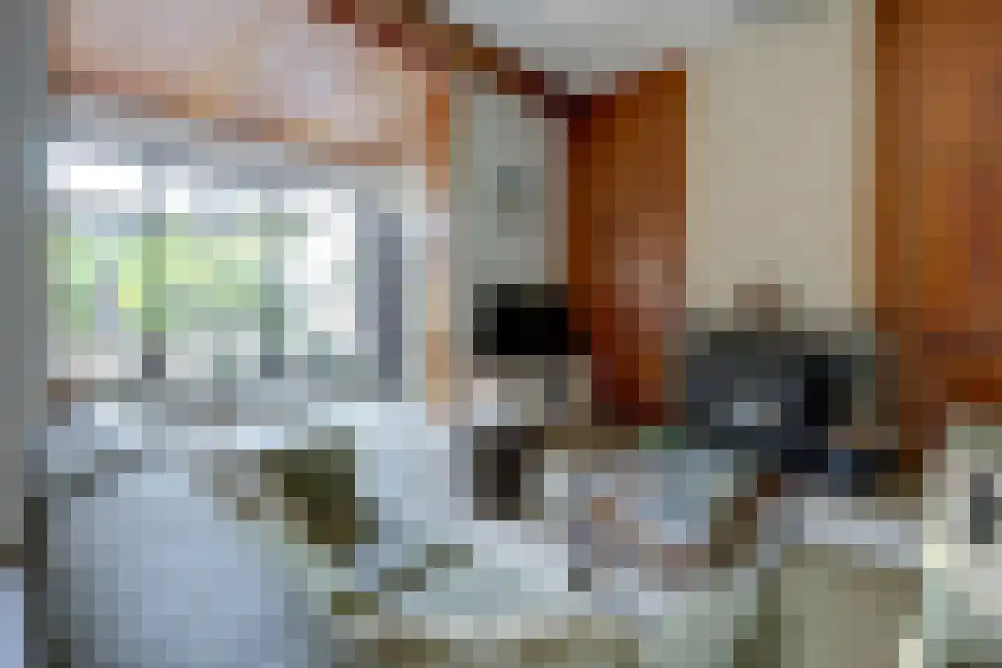 Steenstraat 17 Borculo thumbnail 14