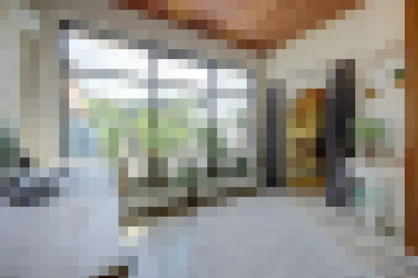 Steenstraat 17 Borculo thumbnail 17