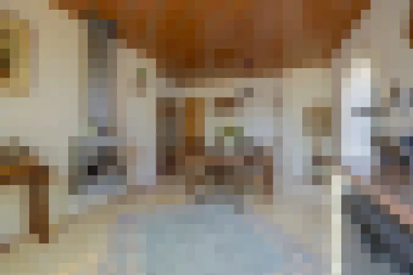 Steenstraat 17 Borculo thumbnail 18