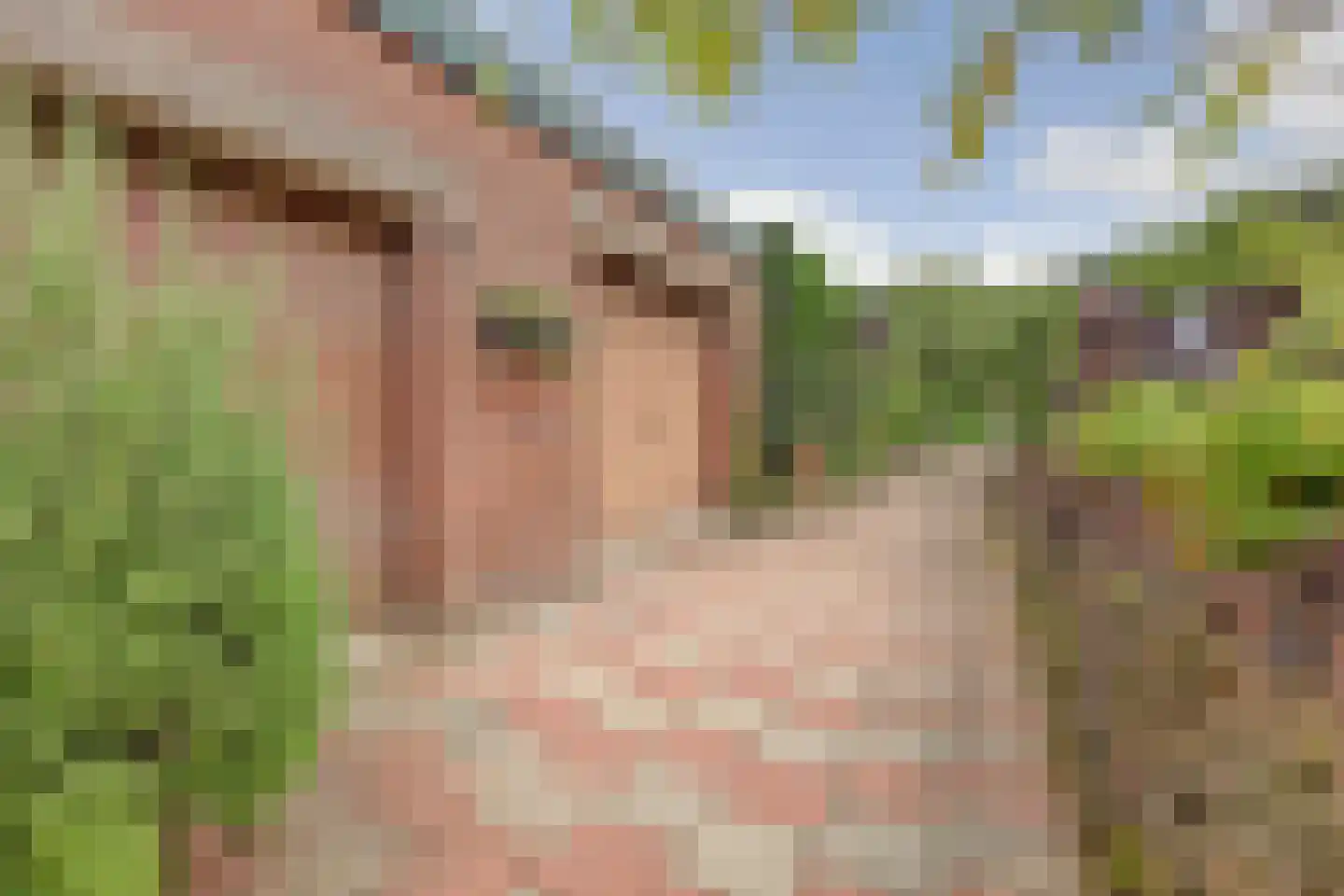 Steenstraat 17 Borculo thumbnail 4
